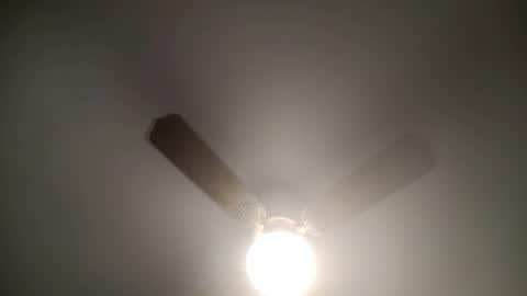 red24devils online show from February 25, 4:35 pm