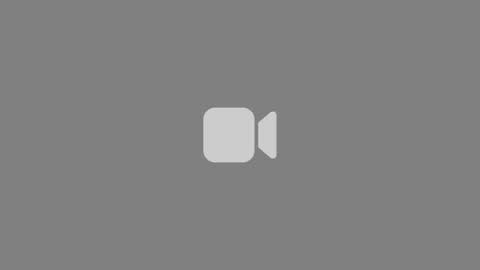 redfloweer online show from March 19, 4:01 pm