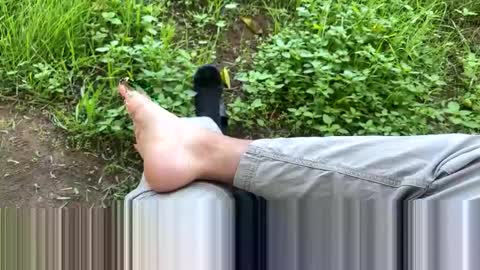 rennn100 online show from November 6, 5:38 pm