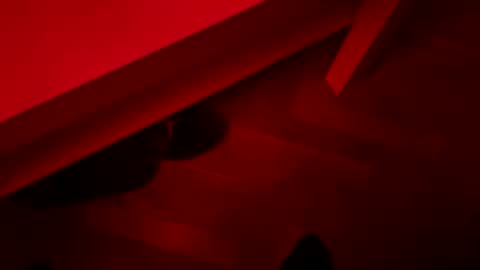 rgccaptainn online show from December 21, 6:20 am