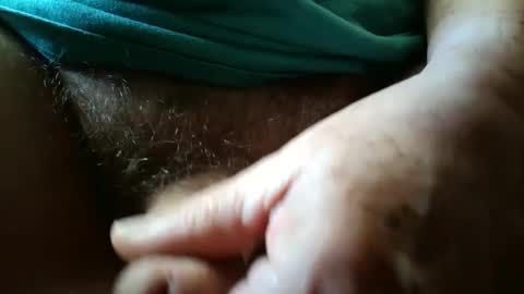 Always crusing cams online show from September 20, 5:16 pm