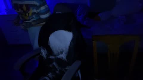 Snapshot of ripper_66 chatting on December 17, 7:48 pm   DianaBrite            fansl y online show from December 17, 7:48 pm