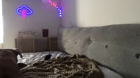 RoastingCorn online show from January 3, 10:29 pm