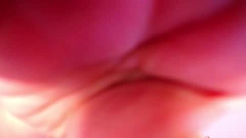 Sof online show from October 20, 1:32 am