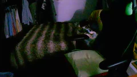 roktero 90 online show from December 16, 8:04 pm