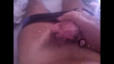 rollino83 online show from September 12, 10:17 am