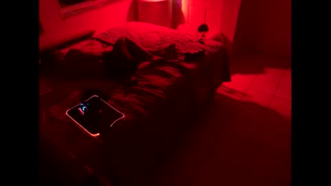 Snapshot of romeotyn chatting on February 21, 3:01 am romeotyn online show from February 21, 3:01 am