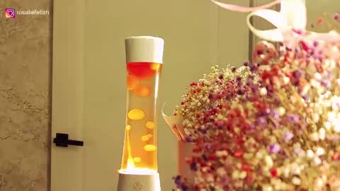 Rosalie online show from November 15, 1:40 am