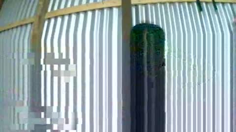 rosia online show from January 12, 4:58 pm