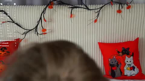 Kate online show from October 31, 2:34 am