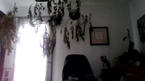 Roy Murrin online show from October 10, 8:13 pm