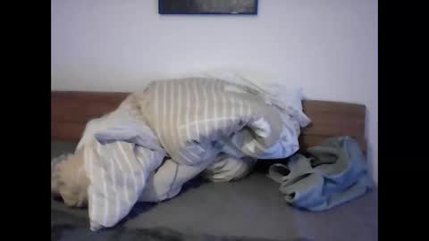 rudolf28 online show from April 1, 11:44 am