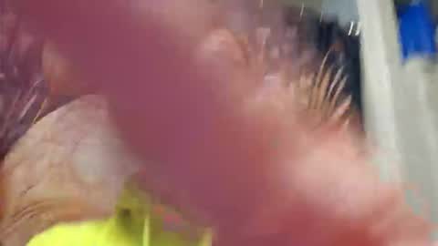 ryan198650 online show from February 2, 10:39 pm