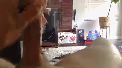 ryanbobby88 online show from October 14, 10:57 pm