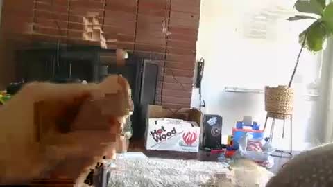 ryanbobby88 online show from October 1, 10:08 pm