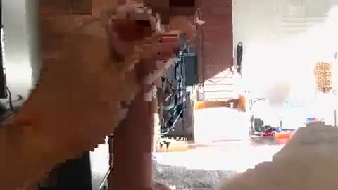 ryanbobby88 online show from October 11, 3:59 pm