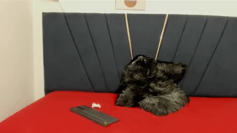 ryder_cum23 online show from November 12, 4:15 am