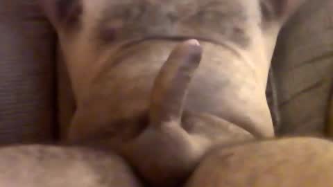 s0lid_snake8 online show from June 27, 11:05 am