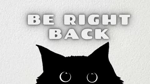 Salome online show from January 14, 3:14 am