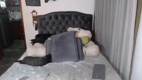 yenny online show from April 11, 6:40 am