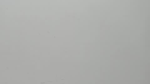Snapshot of salvatore_damore chatting on February 6, 11:09 am SALVATORE online show from February 6, 11:09 am