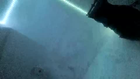 samael6699krk online show from October 19, 1:10 am