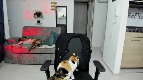 SARA online show from September 26, 12:29 am