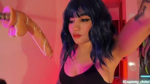 Sammy online show from April 7, 7:38 pm