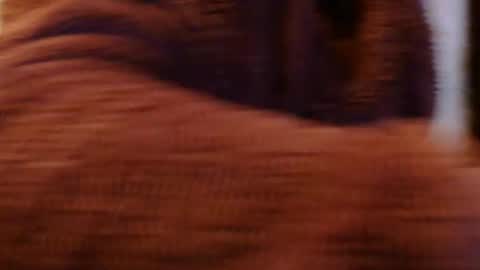 Sam online show from November 2, 10:32 pm