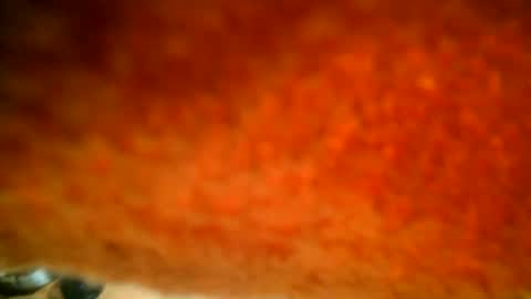 samueltal online show from October 16, 7:35 pm