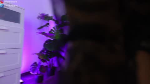 Sandra online show from January 23, 8:45 pm