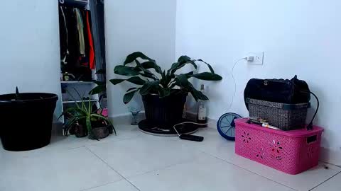 sara_johnson__ online show from October 29, 4:09 pm