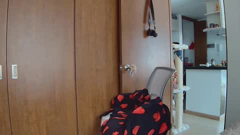 sarah_tailorr online show from December 19, 6:36 pm