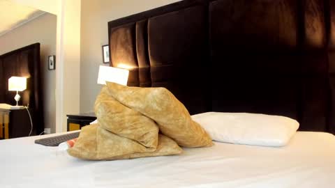 Sara   follow me in insta camila or ar online show from January 11, 12:44 am