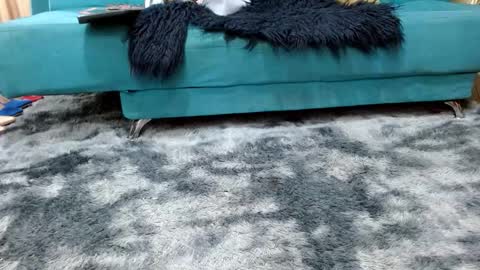 sarita_klein online show from November 8, 3:37 pm