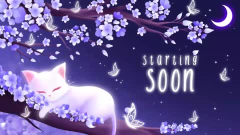 Sassy Sami Kittyn online show from September 15, 4:25 am