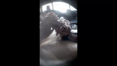 saucyshrambler online show from April 24, 5:48 pm