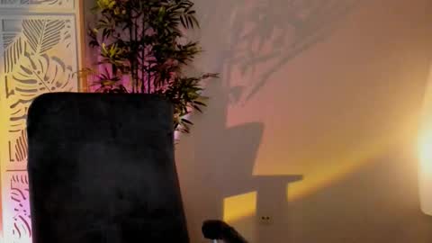 save the qween online show from February 10, 12:19 pm