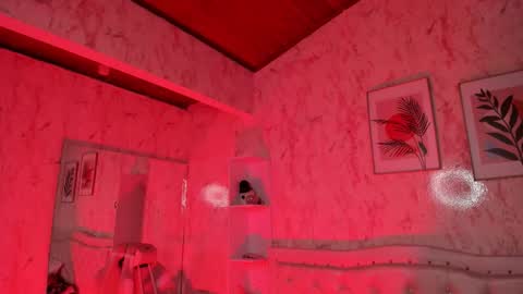 Scarlet online show from February 11, 4:27 am