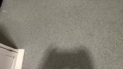 scottyc48 online show from January 12, 3:19 pm