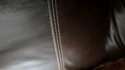 Snapshot of secret18slaveanon chatting on October 10, 3:45 am Sunny online show from October 10, 3:45 am