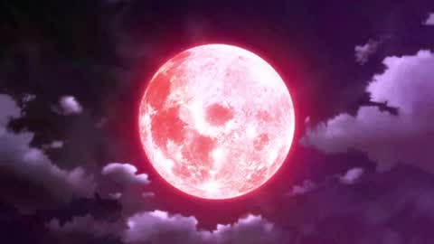 Selene G  online show from May 15, 2:53 am