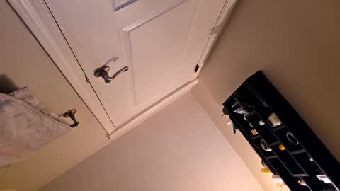 serani02 online show from January 19, 11:09 am