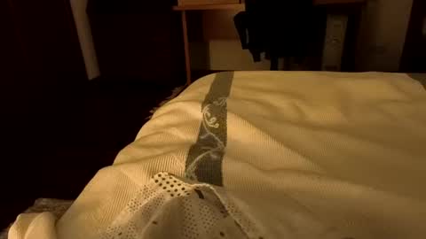 sevenorder online show from January 20, 5:04 am