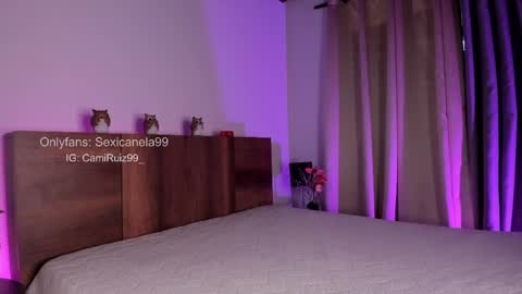 Snapshot of sexicanela99 chatting on February 14, 4:09 pm ... Camila ... online show from February 14, 4:09 pm