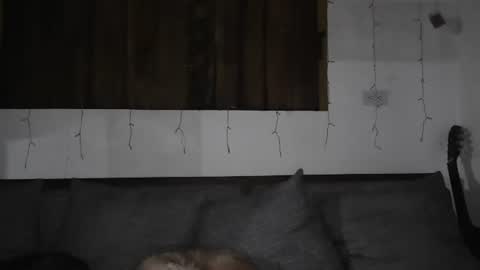 Snapshot of sexnchocolate chatting on January 11, 5:41 am Trixy Rose online show from January 11, 5:41 am