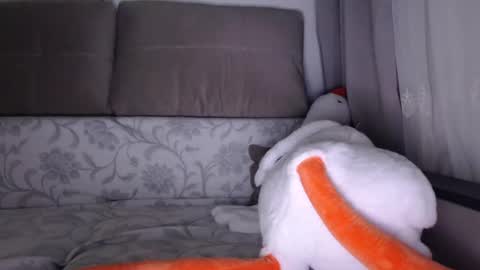 Snapshot of sexsy_bunny chatting on October 1, 5:17 am See you on October going to miss you guys incredibly. Subscribe to my Onlyfans Channel to follow the news online show from October 1, 5:17 am