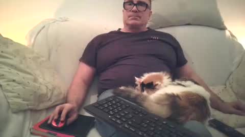 Sexurbation online show from November 17, 8:33 pm