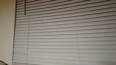 SEXX JUNKIEE online show from January 19, 2:15 am