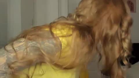 C o r a l i e online show from February 2, 4:36 pm